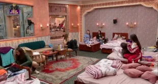 The 50 24th February 2026